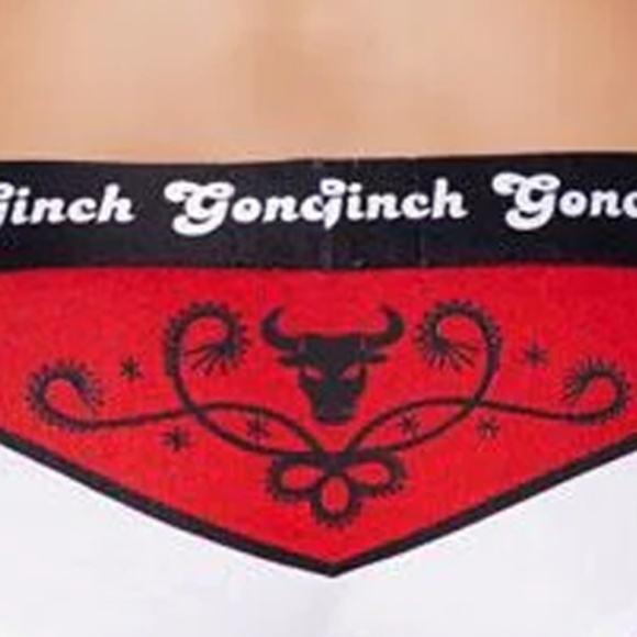GINCH Gonch Boyfriend Inspired Brief Underwear Panty El Toro Print NIP - Picture 8 of 12